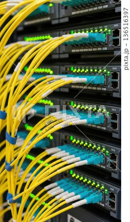 High-Density Fiber Optic Patch Panel and Cabling for AI Network 136516397