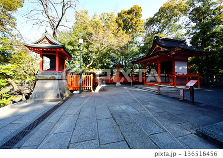 京都府　伏見稲荷大社　白狐社（重要文化財） 京都市伏見区深草藪之内町　2022 年 2月 136516456