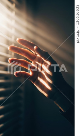 Sunlight Rays Through Blinds Casting Shadows on Dark Wall Sunlight Rays Through Blinds Casting Shadows on Dark Wall 136516635