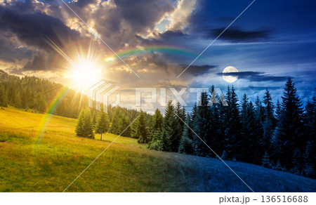 gradual slope of the mountain range with coniferous forest. day and night time change concept. remote countryside landscape with spruce trees on the grassy meadow with sun and moon in summertime gradual slope of the mountain range with coniferous forest. day and night time change concept. remote countryside landscape with spruce trees on the grassy meadow with sun and moon in summertime 136516688