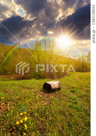 mountain landscape with green grass on a forest glade in spring at sunset. beautiful nature scenery with beech trees under blue sky in evening light. storytelling cinematic image under the rainbow mountain landscape with green grass on a forest glade in spring at sunset. beautiful nature scenery with beech trees under blue sky in evening light. storytelling cinematic image under the rainbow 136516693