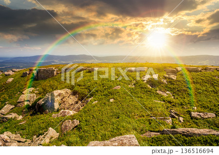 grassy alpine meadow in carpathian mountain landscape at sunset. sharp rocks and huge boulders among green grass on rolling hills in evening light. open space scenery for wanderlust and exploration 136516694
