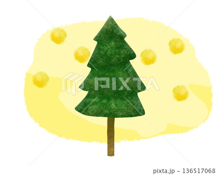 花粉が飛散するスギ花粉 花粉が飛散するスギ花粉 136517068