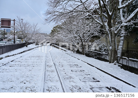 蹴上インクラインの雪景色と桜の木 蹴上インクラインの雪景色と桜の木 136517156