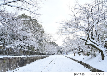 蹴上インクラインの雪景色と桜の木 蹴上インクラインの雪景色と桜の木 136517264