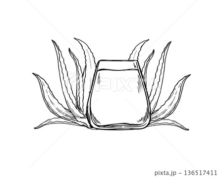 Vector aloe vera juice in glass line art black ink sketch. Monochrome healing plant, homemade detox drink illustration for healthy beverage packaging, cosmetic, spa product design. 136517411