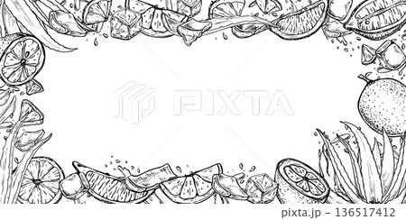 Lemon and aloe vera, droplets vector monochrome horizontal border. Fresh citrus fruit, aloe plant with juice drops rectangle frame with empty space for text. Cosmetic packaging, drink product Lemon and aloe vera, droplets vector monochrome horizontal border. Fresh citrus fruit, aloe plant with juice drops rectangle frame with empty space for text. Cosmetic packaging, drink product 136517412
