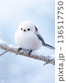 雪が舞う中、枝に止まる　かわいいシマエナガ　 136517750