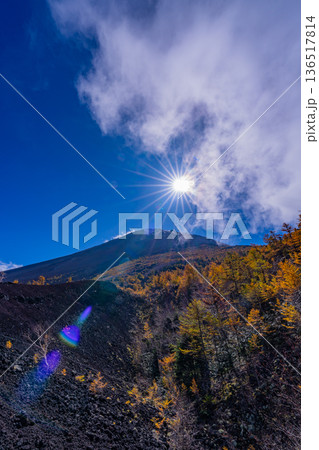 【山梨県】初冠雪した富士山頂と御中道の紅葉 【山梨県】初冠雪した富士山頂と御中道の紅葉 136517814