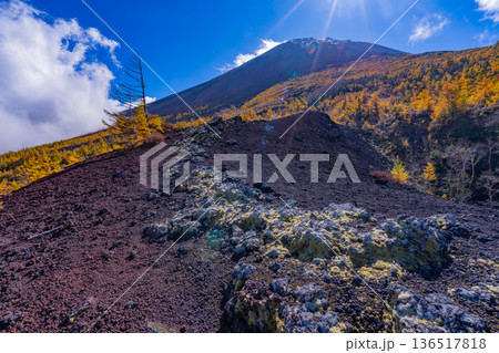 【山梨県】初冠雪した富士山頂と御中道の紅葉 136517818