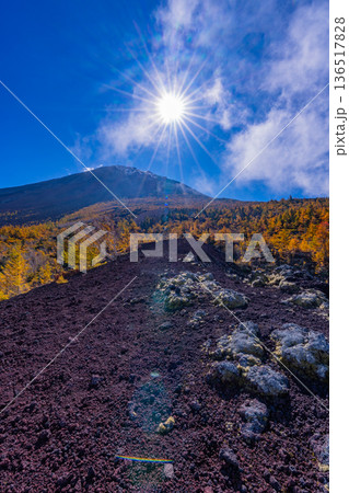 【山梨県】初冠雪した富士山頂と御中道の紅葉 136517828