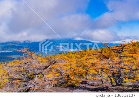 【山梨県】富士山・紅葉した御中道から見下ろす富士吉田の街並み 【山梨県】富士山・紅葉した御中道から見下ろす富士吉田の街並み 136518137