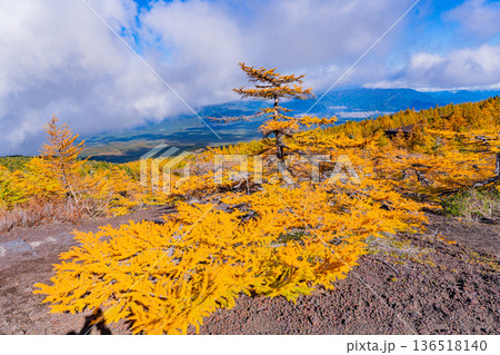 【山梨県】富士山・紅葉した御中道から見下ろす富士吉田の街並み 136518140