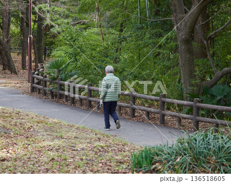 冬の静かな公園で散歩するシニア女性の姿 冬の静かな公園で散歩するシニア女性の姿 136518605