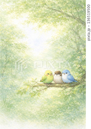鳥シリーズ：新緑の木々で休む穏やかな鳥背景 136519500
