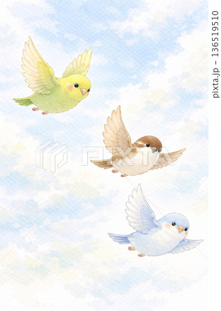 鳥シリーズ:羽ばたく瞬間の軽やかな小鳥 鳥シリーズ:羽ばたく瞬間の軽やかな小鳥 136519510