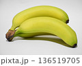 白背景のバナナ 136519705