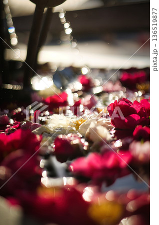 色とりどりの花を浮かべた花手水 色とりどりの花を浮かべた花手水 136519877
