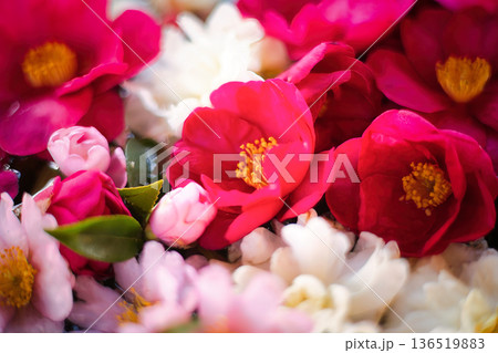 色とりどりの花を浮かべた花手水 136519883