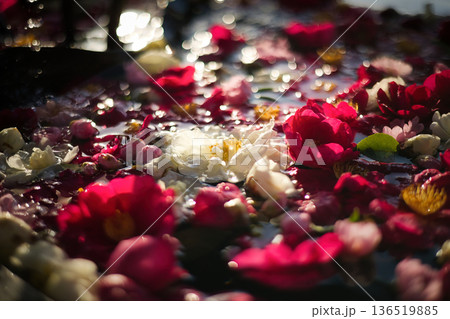 色とりどりの花を浮かべた花手水 136519885