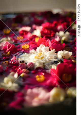 色とりどりの花を浮かべた花手水 136519889