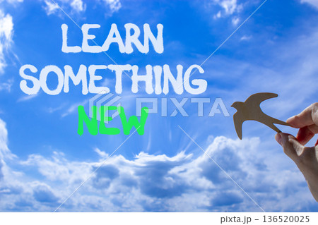 Learn something new symbol. Concept words Learn something new. Beautiful blue sky background. Businessman hand, wooden birds. Business motivational lifestyle learn something new concept. Copy space. 136520025