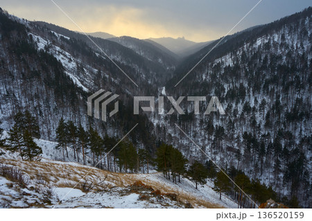 Beautiful mountain valley with snow and pine trees. Winter landscape and travel destination nature concept. Outdoor scenery for vacation background. Route to Central Krasnoyarsk Stolby park 136520159