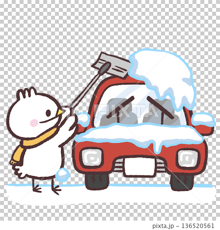 一隻白鳥正在清除汽車上的積雪（插圖） 136520561