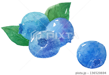 水彩ブルーベリーイラスト 136520694