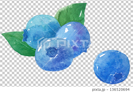 水彩ブルーベリーイラスト 136520694