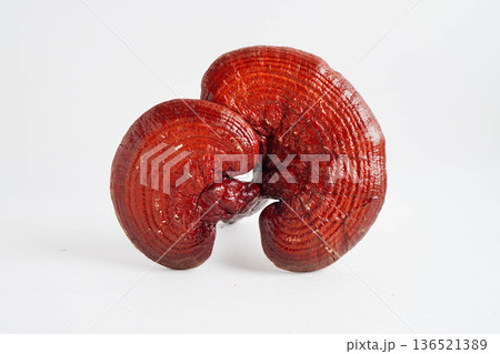 Lingzhi or Reishi mushroom with capsules, organic natural healthy food. 136521389