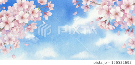 桜と青空の水彩風背景素材 136521692