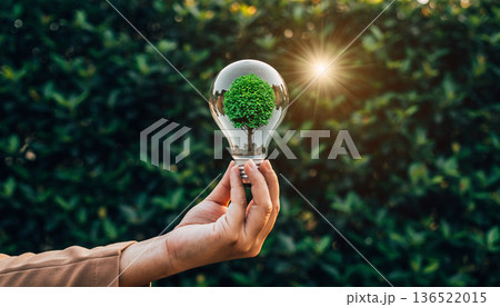 Bright light bulb holds small tree inside as symbol of eco-friendly ideas and sustainability in nature Bright light bulb holds small tree inside as symbol of eco-friendly ideas and sustainability in nature 136522015