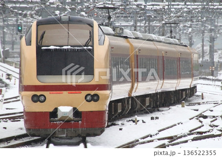 E653系国鉄色(団体列車:東鷲宮駅入換線の旅) E653系国鉄色(団体列車:東鷲宮駅入換線の旅) 136522355
