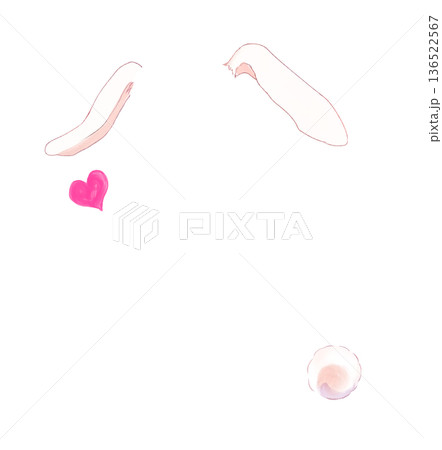うさぎの耳としっぽ 136522567