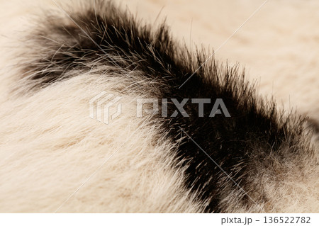 Synthetic fur texture for the background Synthetic fur texture for the background 136522782