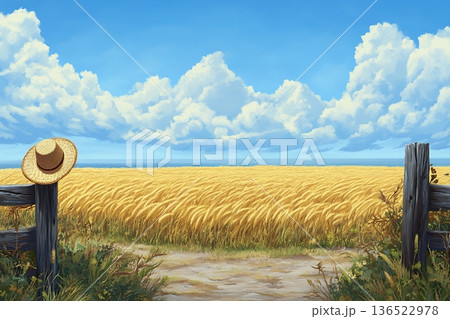 Sunny wheat field under blue sky with wooden fence Sunny wheat field under blue sky with wooden fence 136522978