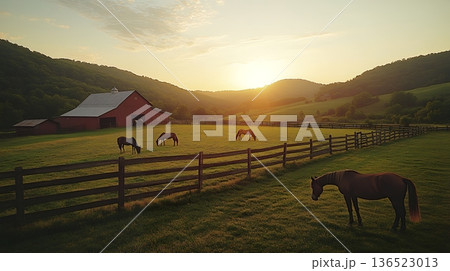 Serene sunset on pastoral farm with horses grazing in lush green meadow Serene sunset on pastoral farm with horses grazing in lush green meadow 136523013