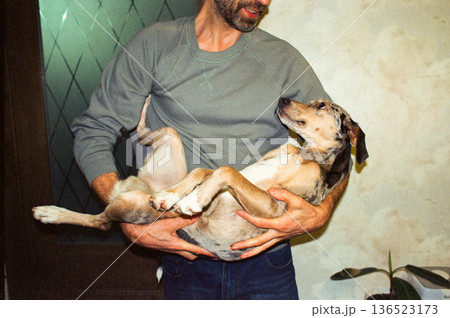 man holds his dog in his arms, a spotted whippet looks at the owner and rejoices. 136523173