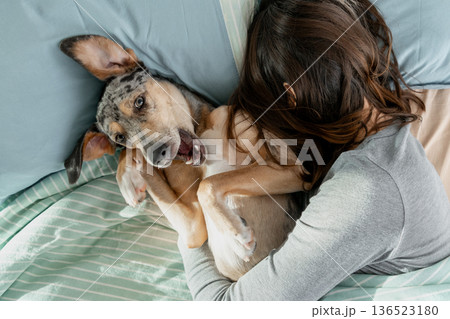 sleepy spotted Dog lies on bed under blanket with its owner, young woman is asleep.  136523180