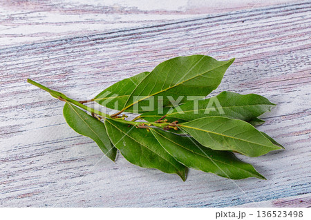 Fresh green laurel leves for cooking 136523498