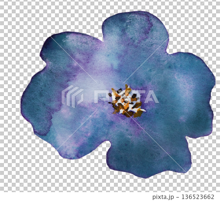 Watercolor dark blue flower, isolated illustration, floral wedding and party stationery element Watercolor dark blue flower, isolated illustration, floral wedding and party stationery element 136523662