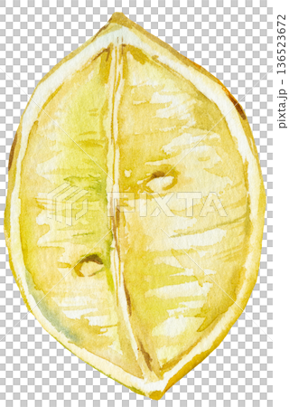 Hand drawn watercolor lemon slice, isolated botanical illustration. Yellow citrus fruit element 136523672
