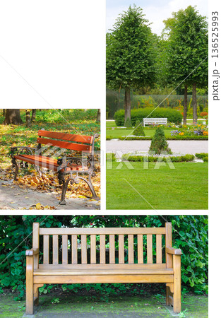 Set of classic garden benches in landscaped park environments 136525993
