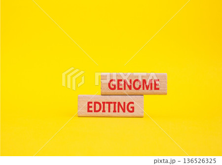 Genome Editing symbol. Wooden blocks with words Genome Editing. Beautiful yellow background. Genetics and Genome Editing concept. Copy space. Genome Editing symbol. Wooden blocks with words Genome Editing. Beautiful yellow background. Genetics and Genome Editing concept. Copy space. 136526325