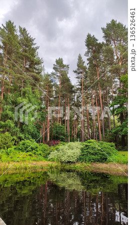 Trees cast soft shadows near a sunny park pond create a soothing and restful mood. Trees cast soft shadows near a sunny park pond create a soothing and restful mood. 136526461