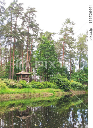 Fresh spring plants and trees surround a calm water. Vitality and outdoor tranquility. Fresh spring plants and trees surround a calm water. Vitality and outdoor tranquility. 136526464