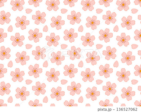 Pattern of pink cherry blossom flowers on white background. Pattern of pink cherry blossom flowers on white background. 136527062