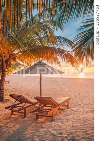 Tranquil couple beach vacation beautiful vertical sunset landscape relax palm Tranquil couple beach vacation beautiful vertical sunset landscape relax palm 136527763