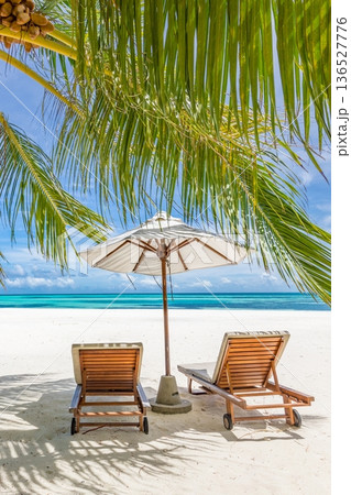 Tropical ocean view beach chairs palm leaves landscape Maldives resort vacation Tropical ocean view beach chairs palm leaves landscape Maldives resort vacation 136527776